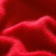 S81fcc29e51c444809511eb0d5b7a34f8o.jpg